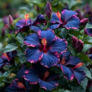 Гибискус Голден Глоу купить по цене от 259р. в интернет-магазине «Посадика» с доставкой почтой в в Усть-Джегутае и по всей России – [изображение №1].