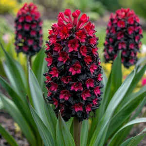 Гиацинт Джем Стоун купить по цене от 2099р. в интернет-магазине «Посадика» с доставкой почтой в в Усть-Джегутае и по всей России – [изображение №1].