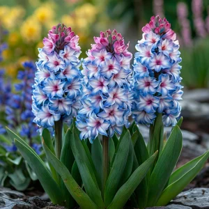 Гиацинт Пинк Мари купить по цене от 2099р. в интернет-магазине «Посадика» с доставкой почтой в в Усть-Джегутае и по всей России – [изображение №1].