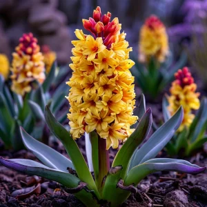 Гиацинт Миднайт Мистери купить по цене от 2099р. в интернет-магазине «Посадика» с доставкой почтой в в Усть-Джегутае и по всей России – [изображение №1].