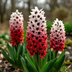 Гиацинт Скай Гарден купить по цене от 2099р. в интернет-магазине «Посадика» с доставкой почтой в в Усть-Джегутае и по всей России – [изображение №1].