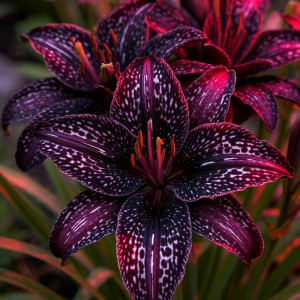 Лилейник Вояж купить по цене от 699р. в интернет-магазине «Посадика» с доставкой почтой в в Усть-Джегутае и по всей России – [изображение №1].